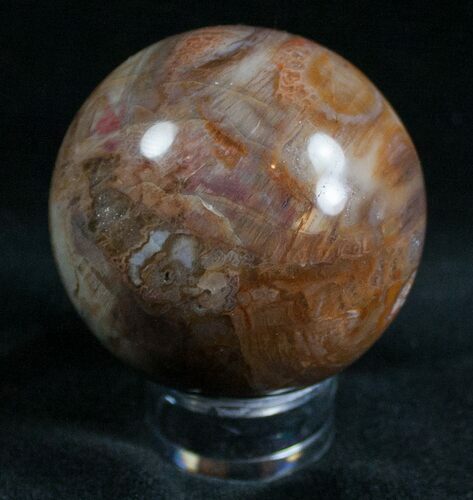 Colorful Petrified Wood Sphere #6807